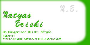 matyas briski business card